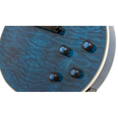 Epiphone Prophecy Les Paul Custom Plus EX Outfit